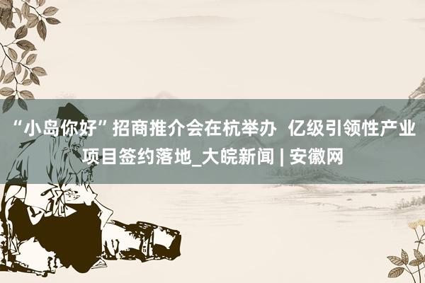 “小岛你好”招商推介会在杭举办  亿级引领性产业项目签约落地_大皖新闻 | 安徽网