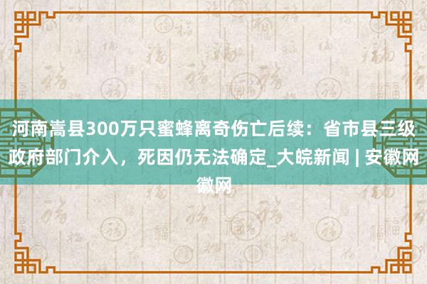 河南嵩县300万只蜜蜂离奇伤亡后续：省市县三级政府部门介入，死因仍无法确定_大皖新闻 | 安徽网