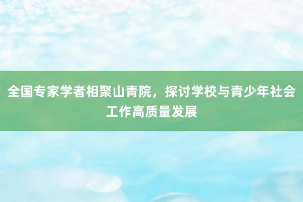 全国专家学者相聚山青院，探讨学校与青少年社会工作高质量发展