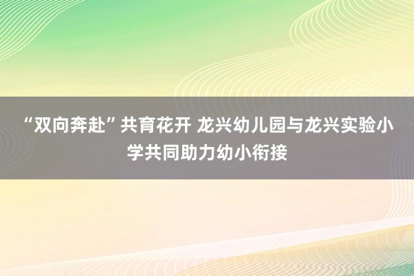 “双向奔赴”共育花开 龙兴幼儿园与龙兴实验小学共同助力幼小衔接