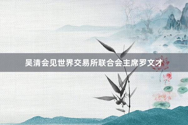 吴清会见世界交易所联合会主席罗文才