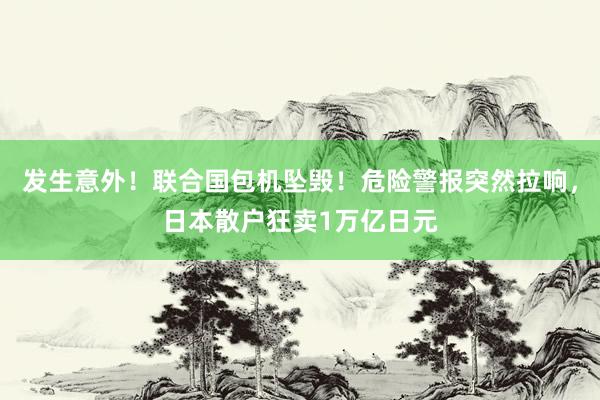 发生意外！联合国包机坠毁！危险警报突然拉响，日本散户狂卖1万亿日元