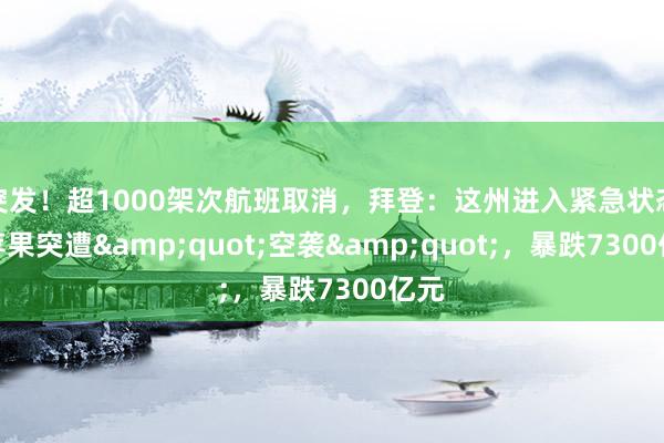 突发！超1000架次航班取消，拜登：这州进入紧急状态！苹果突遭&quot;空袭&quot;，暴跌7300亿元