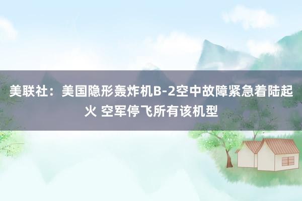 美联社：美国隐形轰炸机B-2空中故障紧急着陆起火 空军停飞所有该机型