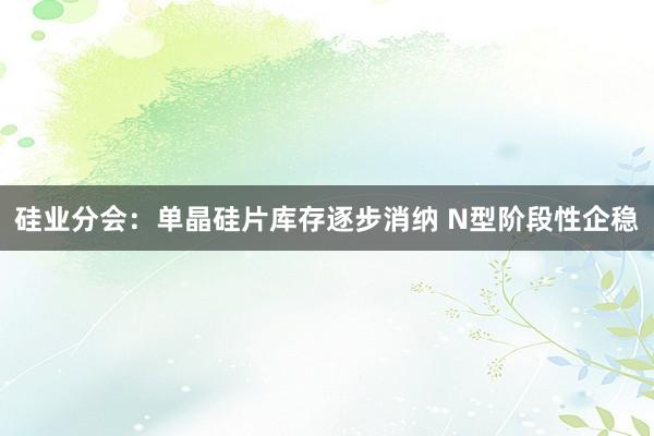 硅业分会：单晶硅片库存逐步消纳 N型阶段性企稳