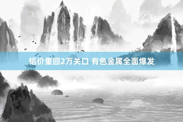 铝价重回2万关口 有色金属全面爆发