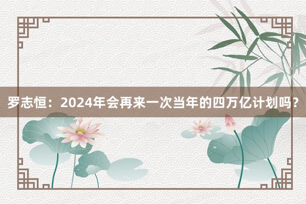 罗志恒：2024年会再来一次当年的四万亿计划吗？