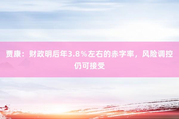 贾康：财政明后年3.8％左右的赤字率，风险调控仍可接受