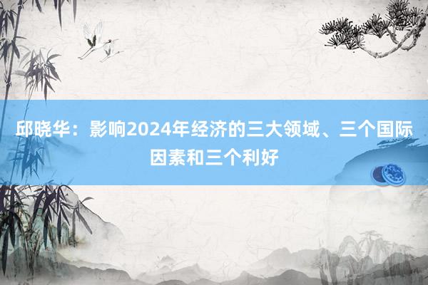 邱晓华：影响2024年经济的三大领域、三个国际因素和三个利好