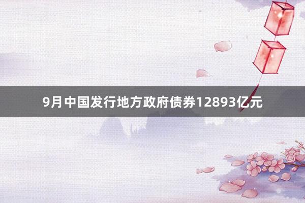 9月中国发行地方政府债券12893亿元