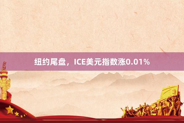 纽约尾盘，ICE美元指数涨0.01%