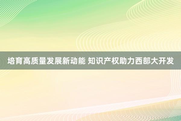 培育高质量发展新动能 知识产权助力西部大开发