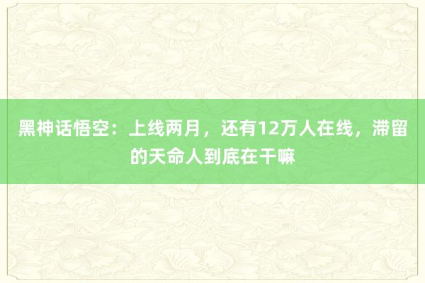 黑神话悟空：上线两月，还有12万人在线，滞留的天命人到底在干嘛