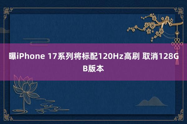 曝iPhone 17系列将标配120Hz高刷 取消128GB版本