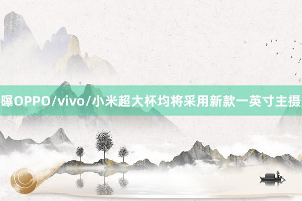 曝OPPO/vivo/小米超大杯均将采用新款一英寸主摄