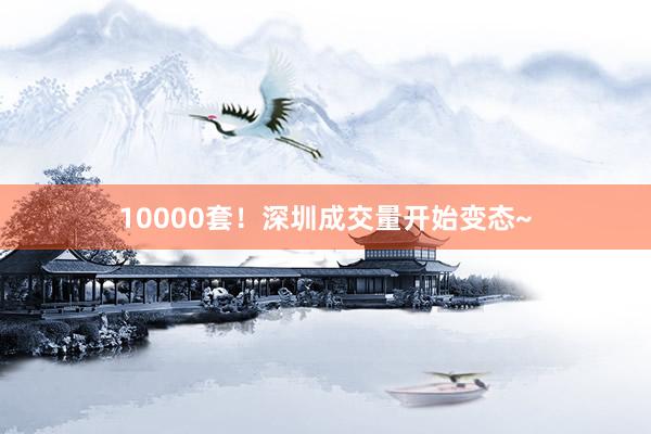 10000套！深圳成交量开始变态~