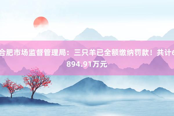 合肥市场监督管理局：三只羊已全额缴纳罚款！共计6894.91万元