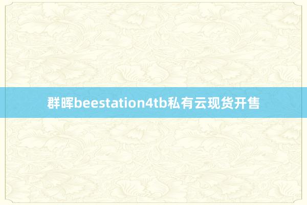 群晖beestation4tb私有云现货开售