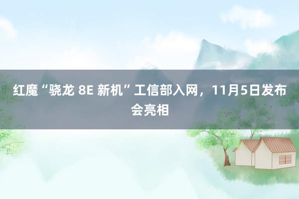 红魔“骁龙 8E 新机”工信部入网，11月5日发布会亮相