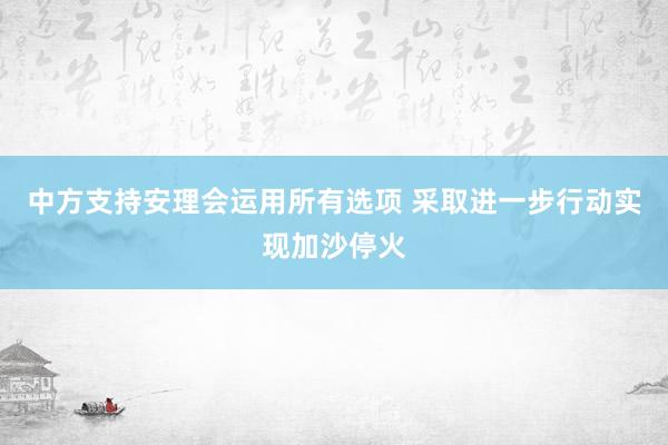 中方支持安理会运用所有选项 采取进一步行动实现加沙停火