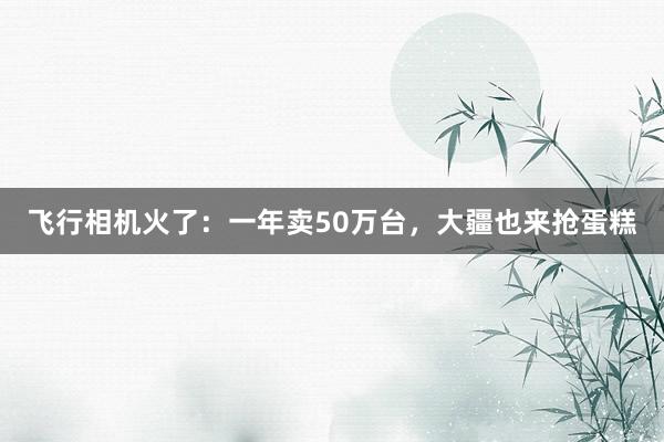 飞行相机火了：一年卖50万台，大疆也来抢蛋糕