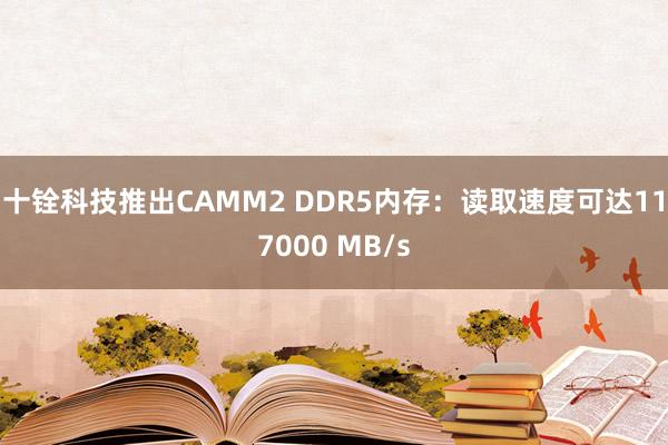 十铨科技推出CAMM2 DDR5内存：读取速度可达117000 MB/s