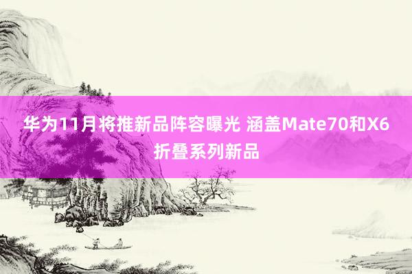 华为11月将推新品阵容曝光 涵盖Mate70和X6折叠系列新品