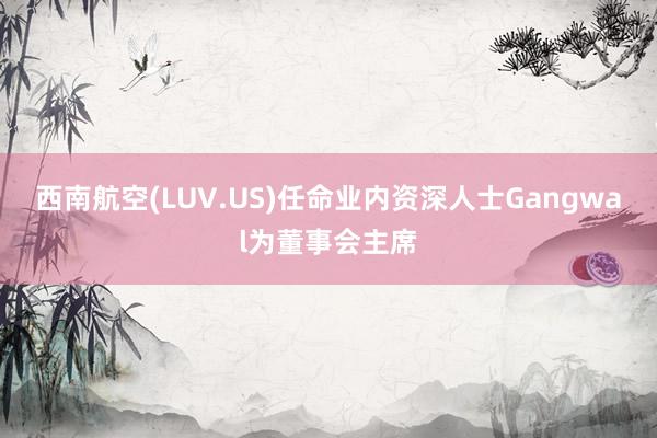 西南航空(LUV.US)任命业内资深人士Gangwal为董事会主席