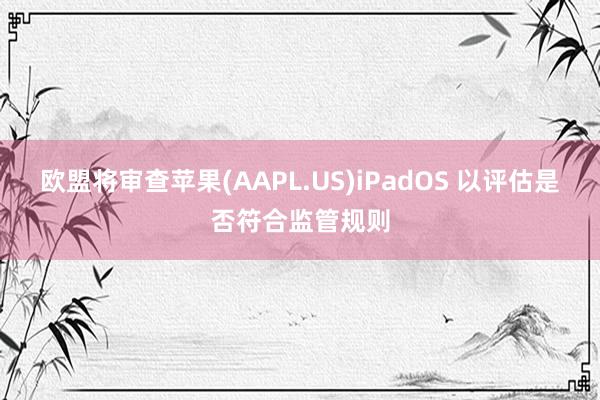 欧盟将审查苹果(AAPL.US)iPadOS 以评估是否符合监管规则