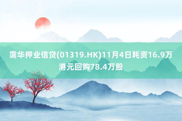 霭华押业信贷(01319.HK)11月4日耗资16.9万港元回购78.4万股