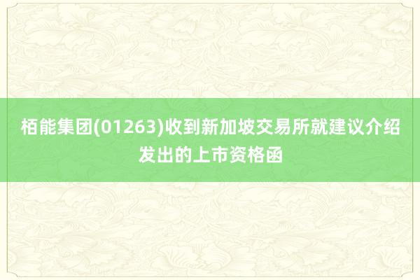 栢能集团(01263)收到新加坡交易所就建议介绍发出的上市资格函