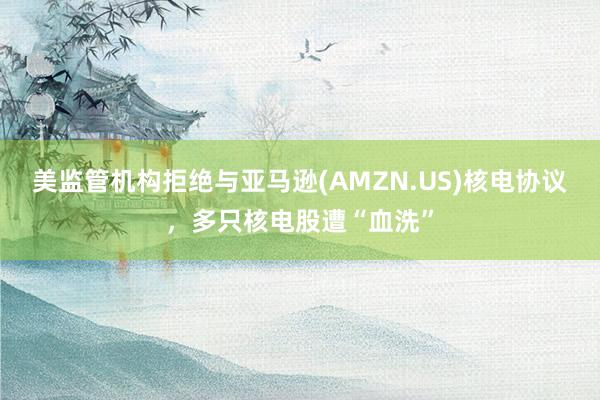 美监管机构拒绝与亚马逊(AMZN.US)核电协议，多只核电股遭“血洗”