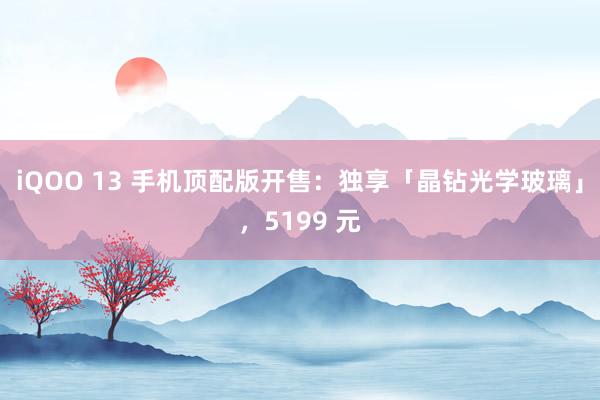 iQOO 13 手机顶配版开售：独享「晶钻光学玻璃」，5199 元