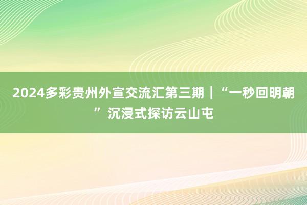 2024多彩贵州外宣交流汇第三期｜“一秒回明朝” 沉浸式探访云山屯