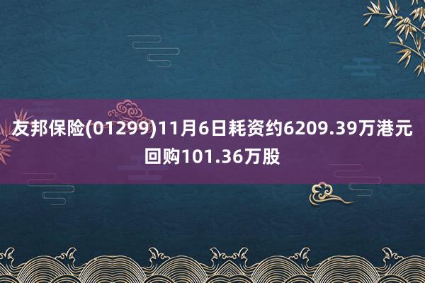 友邦保险(01299)11月6日耗资约6209.39万港元回购101.36万股