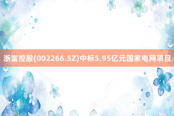 浙富控股(002266.SZ)中标5.95亿元国家电网项目