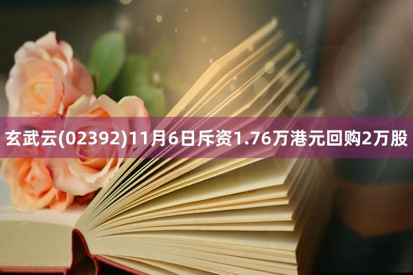 玄武云(02392)11月6日斥资1.76万港元回购2万股