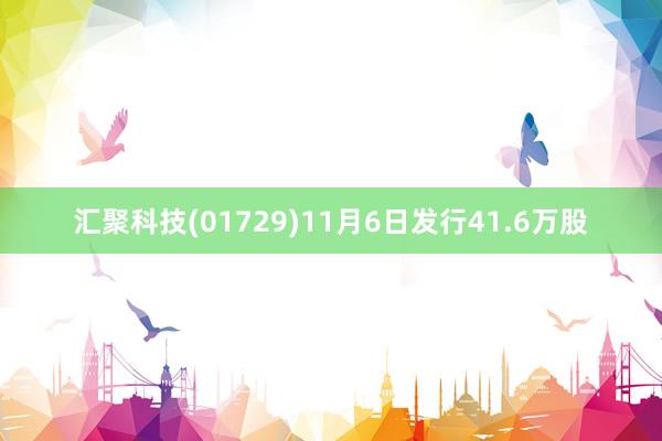 汇聚科技(01729)11月6日发行41.6万股