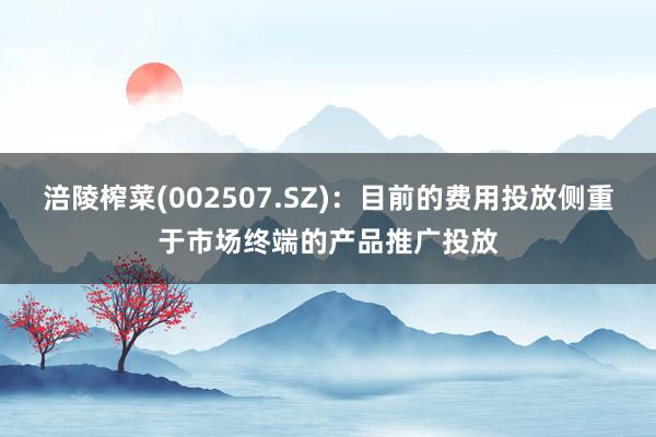 涪陵榨菜(002507.SZ)：目前的费用投放侧重于市场终端的产品推广投放