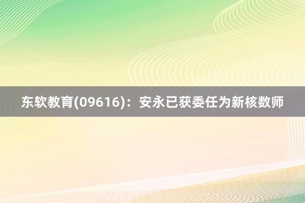 东软教育(09616)：安永已获委任为新核数师