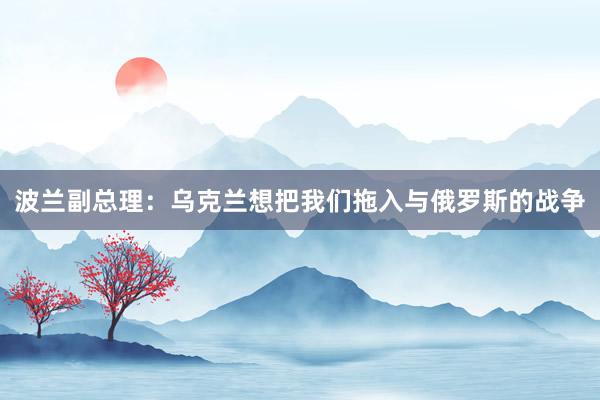 波兰副总理：乌克兰想把我们拖入与俄罗斯的战争