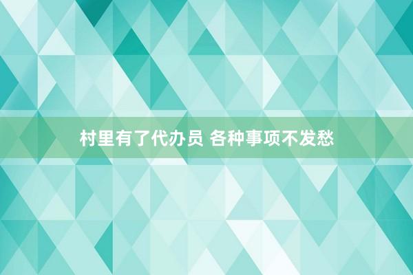 村里有了代办员 各种事项不发愁