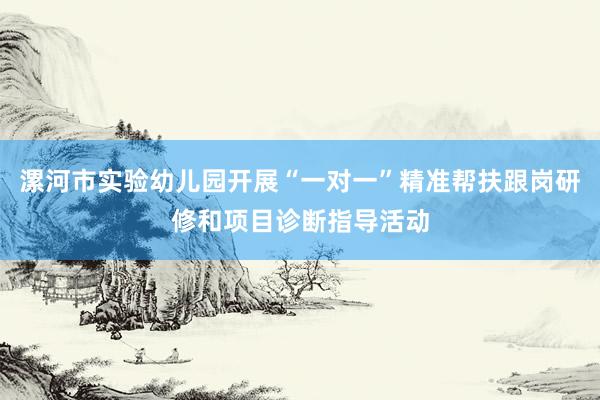 漯河市实验幼儿园开展“一对一”精准帮扶跟岗研修和项目诊断指导活动