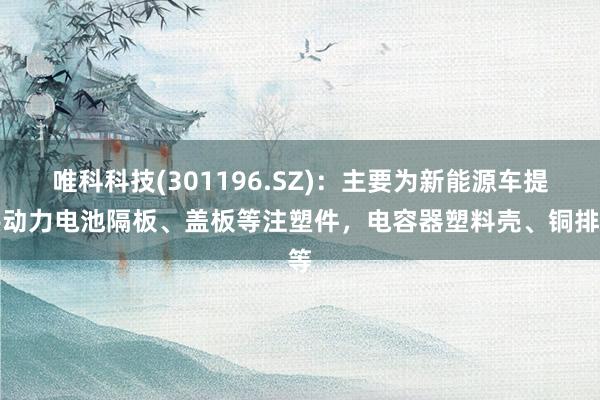 唯科科技(301196.SZ)：主要为新能源车提供动力电池隔板、盖板等注塑件，电容器塑料壳、铜排等