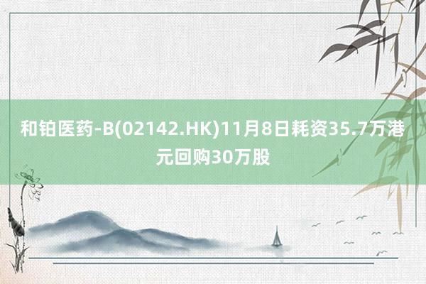 和铂医药-B(02142.HK)11月8日耗资35.7万港元回购30万股