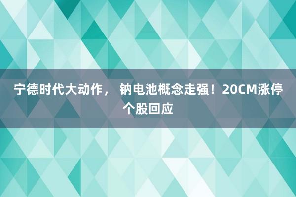 宁德时代大动作， 钠电池概念走强！20CM涨停个股回应