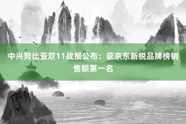 中兴努比亚双11战报公布：获京东新锐品牌榜销售额第一名