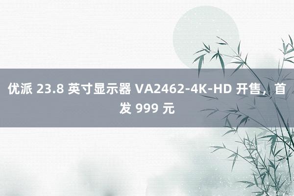 优派 23.8 英寸显示器 VA2462-4K-HD 开售，首发 999 元