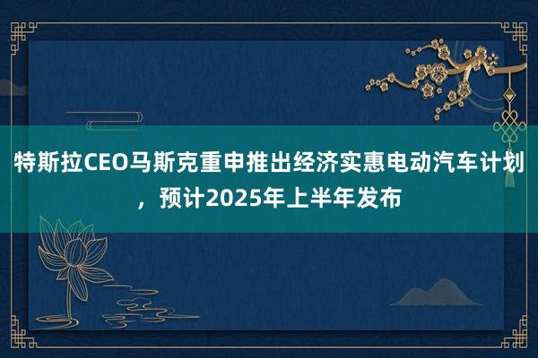 特斯拉CEO马斯克重申推出经济实惠电动汽车计划，预计2025年上半年发布