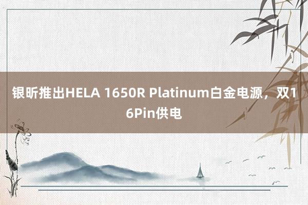 银昕推出HELA 1650R Platinum白金电源，双16Pin供电